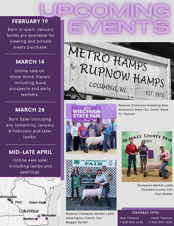 Metro/Rupnow Hamps